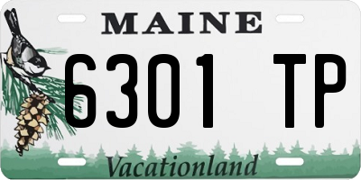 ME license plate 6301TP