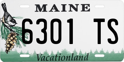 ME license plate 6301TS