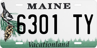 ME license plate 6301TY