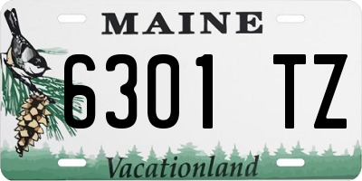 ME license plate 6301TZ