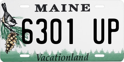 ME license plate 6301UP