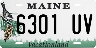 ME license plate 6301UV