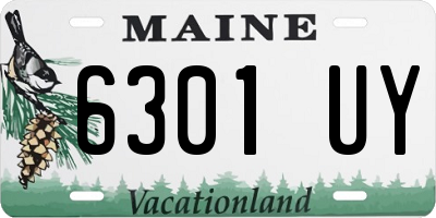 ME license plate 6301UY