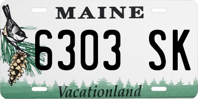 ME license plate 6303SK