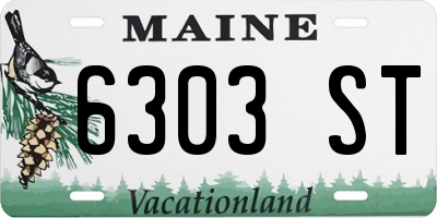 ME license plate 6303ST