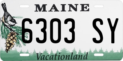 ME license plate 6303SY
