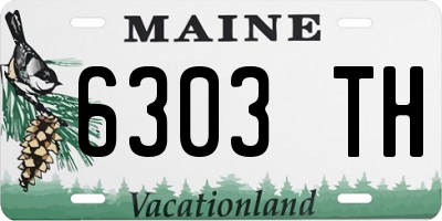 ME license plate 6303TH