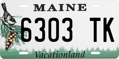 ME license plate 6303TK