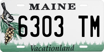 ME license plate 6303TM