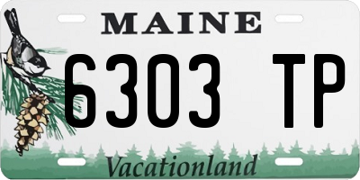 ME license plate 6303TP