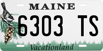 ME license plate 6303TS