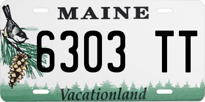 ME license plate 6303TT