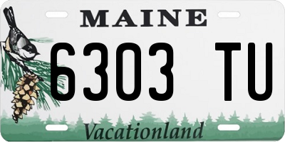 ME license plate 6303TU