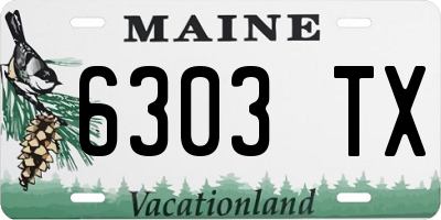 ME license plate 6303TX