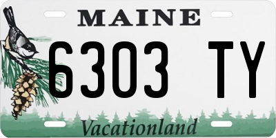 ME license plate 6303TY