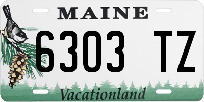 ME license plate 6303TZ