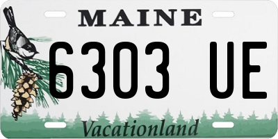 ME license plate 6303UE