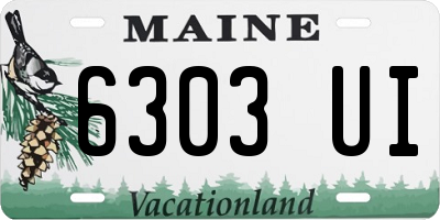 ME license plate 6303UI
