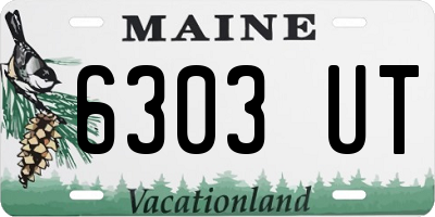 ME license plate 6303UT