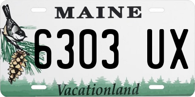 ME license plate 6303UX