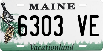 ME license plate 6303VE