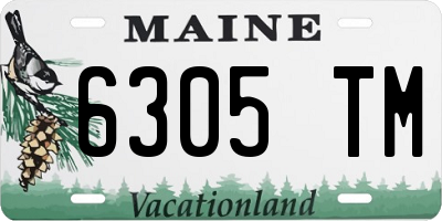 ME license plate 6305TM