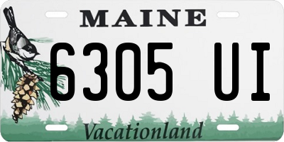 ME license plate 6305UI