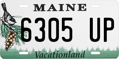 ME license plate 6305UP
