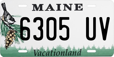 ME license plate 6305UV