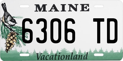 ME license plate 6306TD