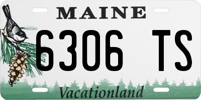 ME license plate 6306TS