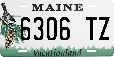 ME license plate 6306TZ