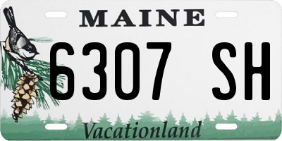 ME license plate 6307SH