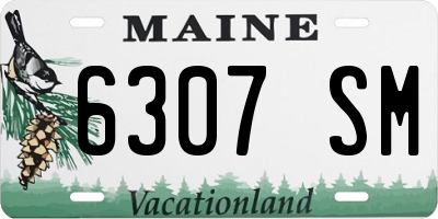 ME license plate 6307SM