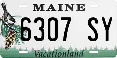 ME license plate 6307SY