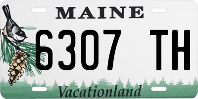 ME license plate 6307TH
