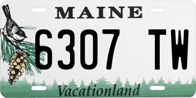 ME license plate 6307TW