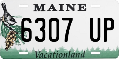 ME license plate 6307UP