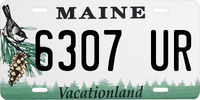 ME license plate 6307UR