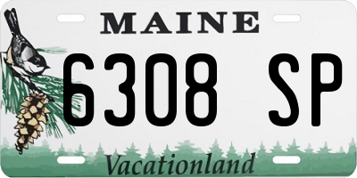 ME license plate 6308SP