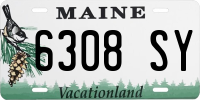 ME license plate 6308SY