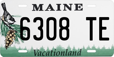 ME license plate 6308TE