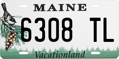 ME license plate 6308TL