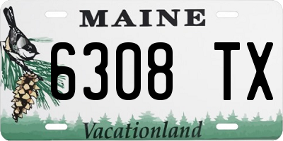 ME license plate 6308TX
