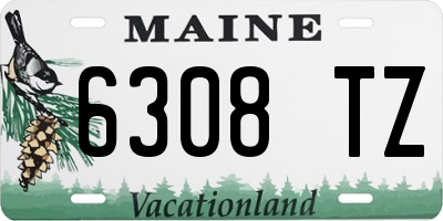 ME license plate 6308TZ