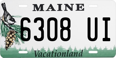 ME license plate 6308UI