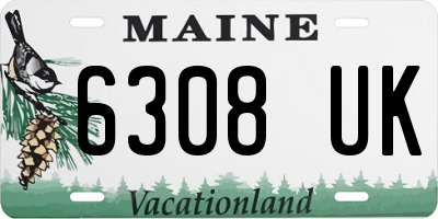 ME license plate 6308UK