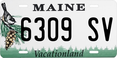 ME license plate 6309SV