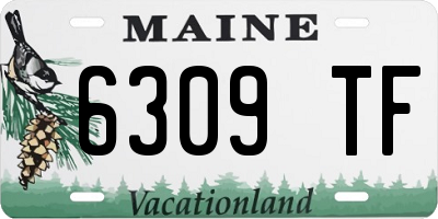 ME license plate 6309TF