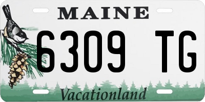 ME license plate 6309TG
